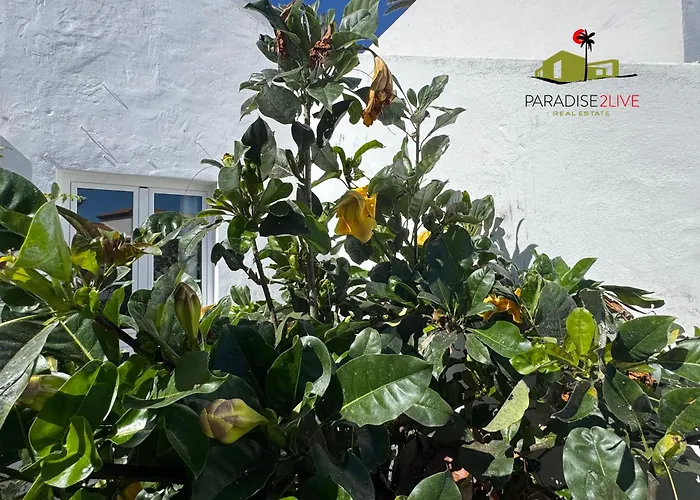 Casa Solandra * Corralejo