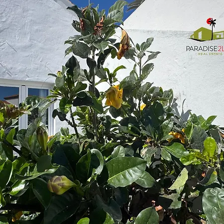 Casa Solandra * 코라레호